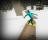 MyTP 2.5 - Ski, Freeski and Snowboard - screenshot #2