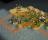 Sid Meier's Civilization IV: Colonization - screenshot #1