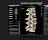 Skeletal System Pro III - screenshot #1