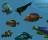 iFish 3D Tropical Fish Aquarium - screenshot #1