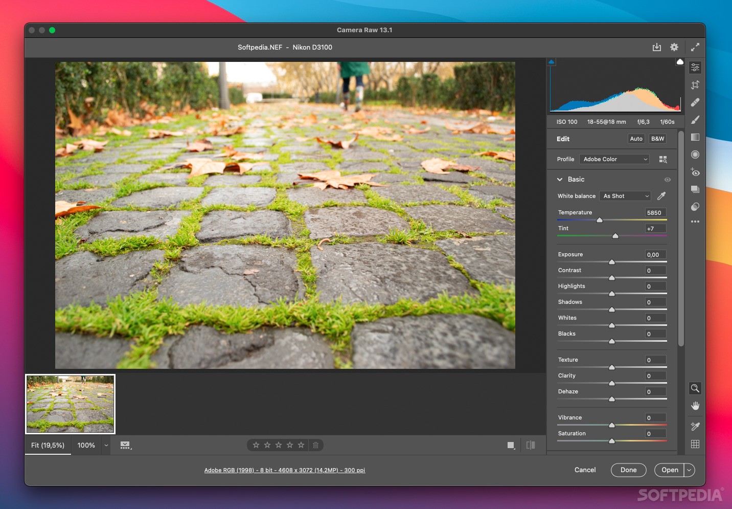 Sluipmoordenaar Wasserette Verkoper Adobe Camera RAW (Mac) - Download & Review