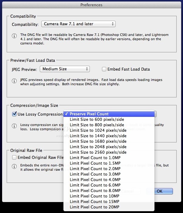 Adobe dng converter update