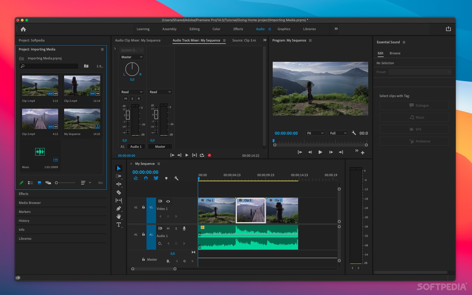 difference between premiere pro and premiere elements