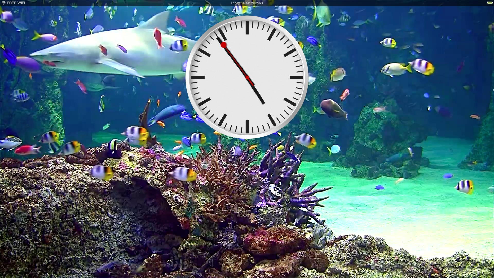 Aquarium Live HD  (Mac) - Download & Review