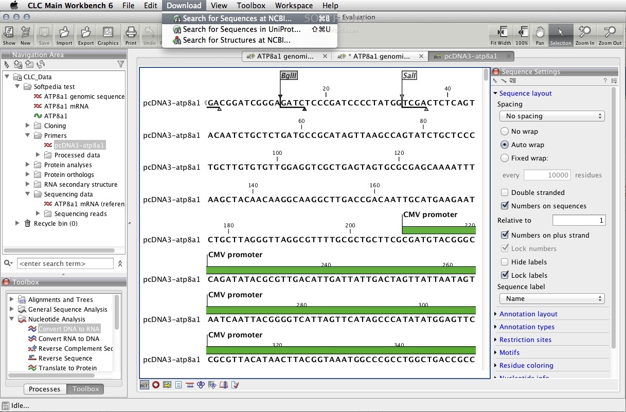 Clc genomics workbench download