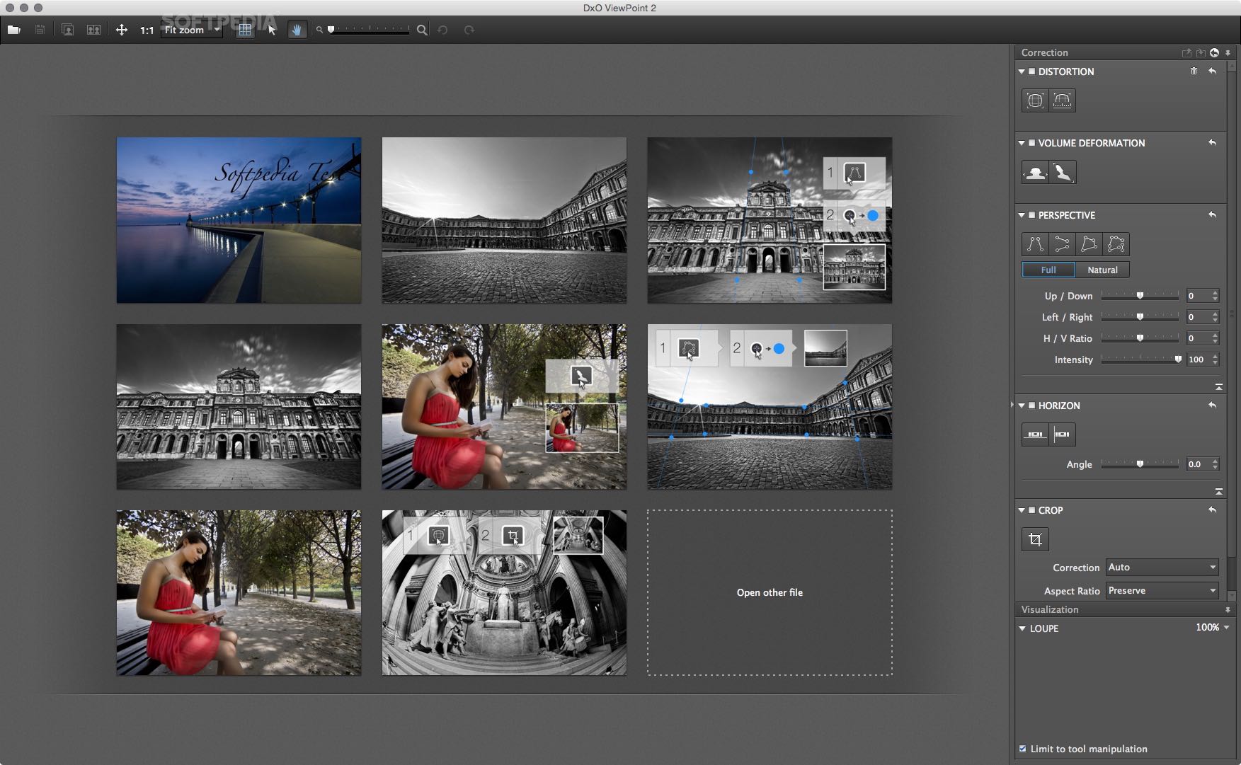 instal the new version for windows DxO ViewPoint