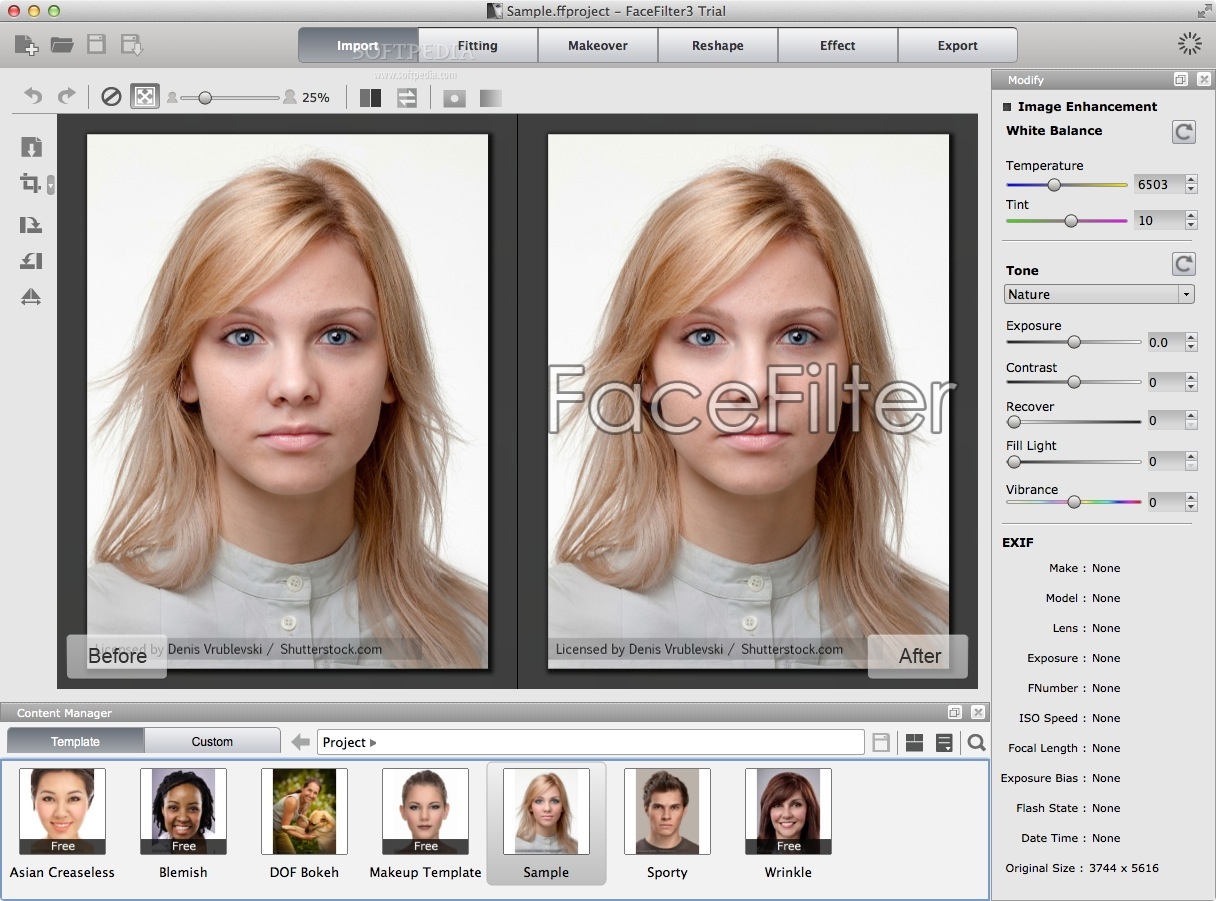 facefilter pro 3 max file size resolution import