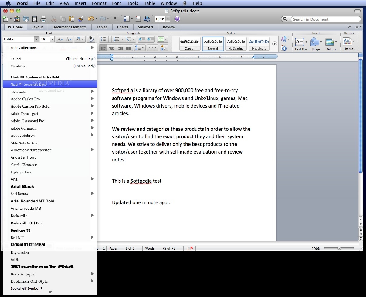 Ms Office For Mac 2 Window View
