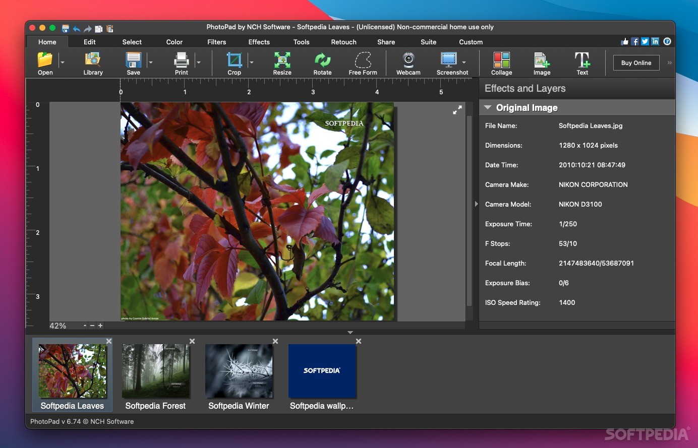 NCH PhotoPad Image Editor 11.59 download the new version for mac