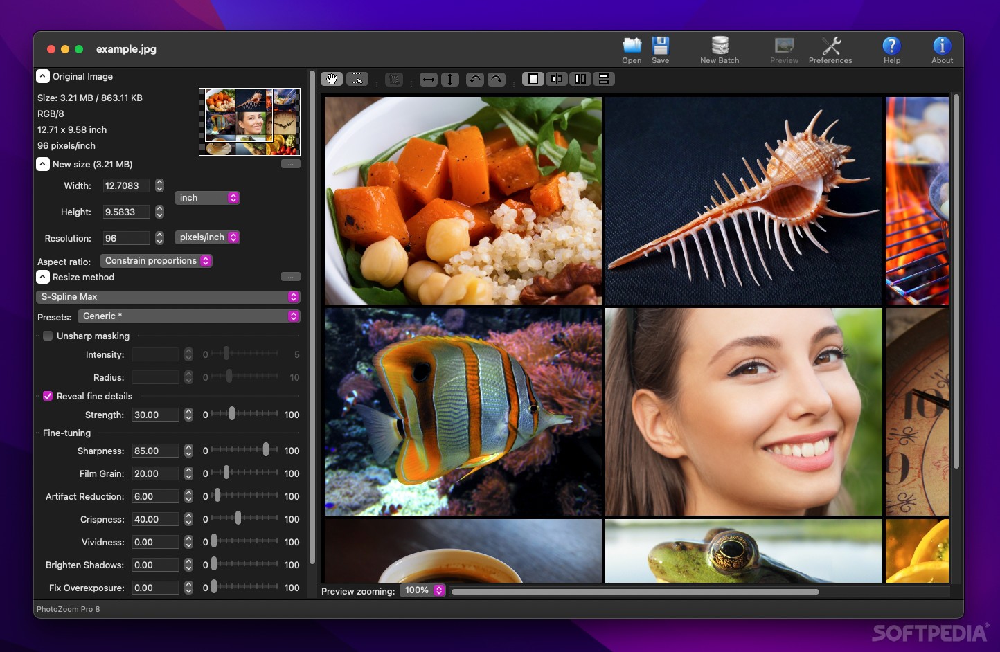Download PhotoZoom Pro (Mac) – Download & Review Free