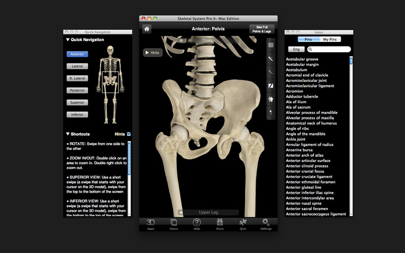 muscle system pro iii for mac