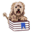 Bookdog icon