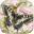 Butterfly Bouquet icon