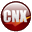 ChartNexus icon
