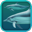 Dolphins 3D