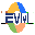 EVM icon