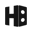 HEADMasterSEO icon