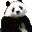 PANDA icon
