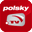 Polsky.TV icon