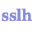 sslh icon