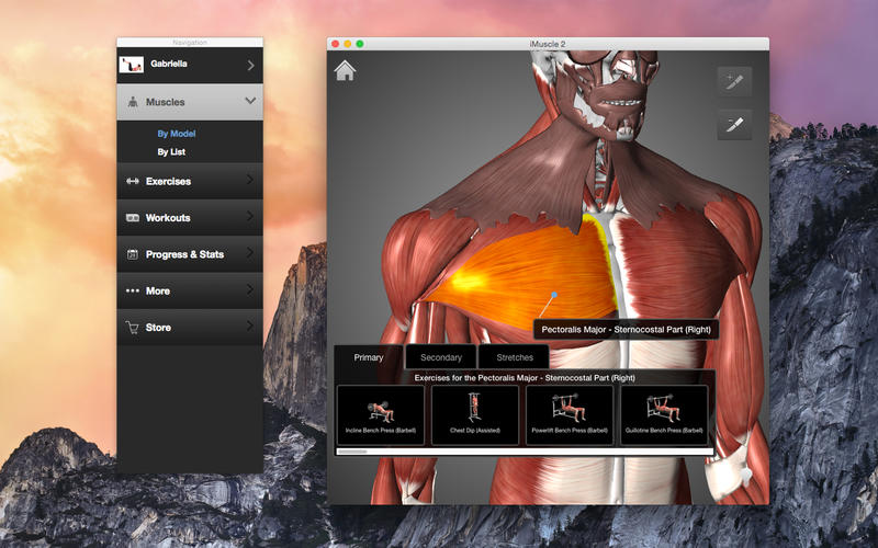 imuscle for pc