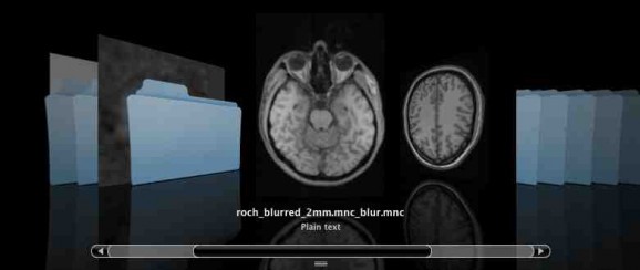 Brainsight QuickLook screenshot
