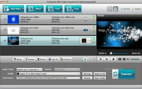 4Videosoft MKV Video Converter screenshot