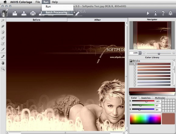 AKVIS Coloriage screenshot