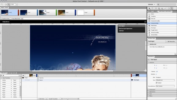 Adobe Flash Catalyst screenshot
