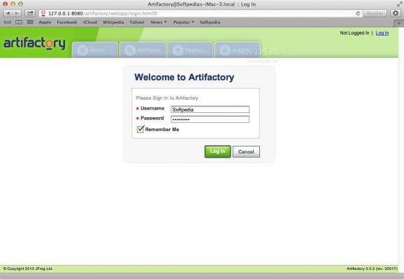 BitNami Artifactory Stack screenshot