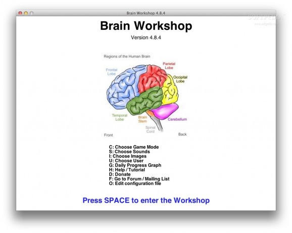 Brain Workshop screenshot