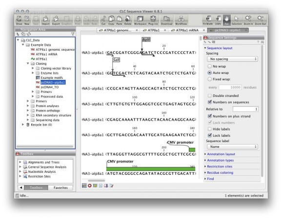 CLC Sequence Viewer screenshot