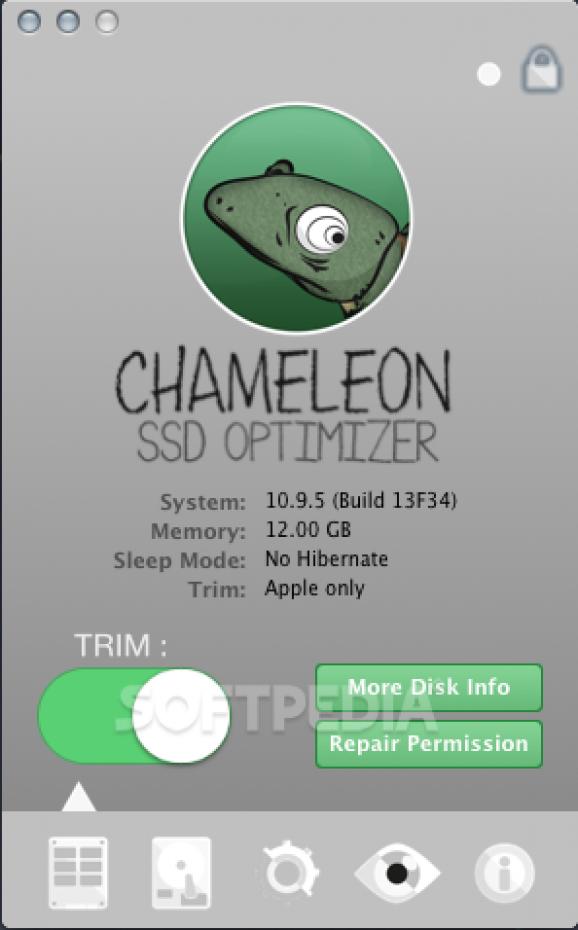 Chameleon SSD Optimizer screenshot