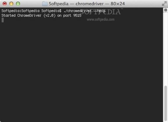 ChromeDriver screenshot