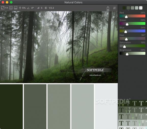 Color Palette from Image screenshot