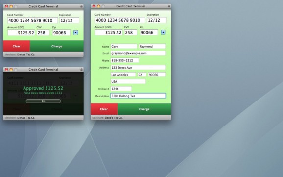 Credit Card Terminal screenshot