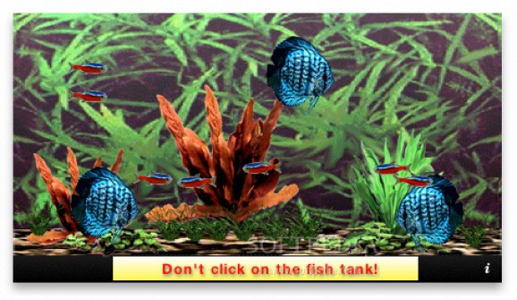Dashboard de Aquarium screenshot