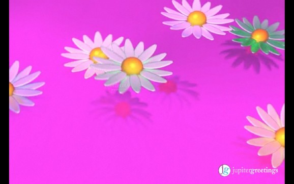 Flowerama screenshot