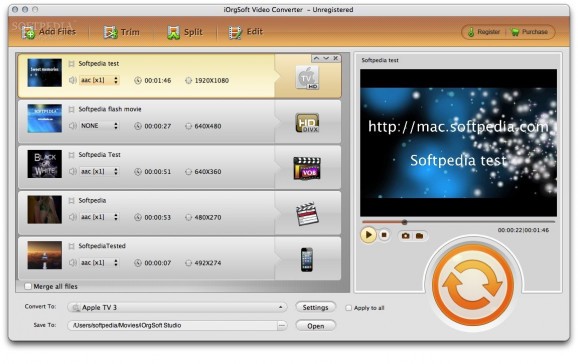 IOrgSoft Video Converter screenshot