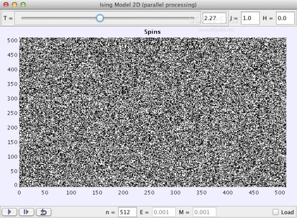 Ising 2D Spatial Decomposition Model screenshot