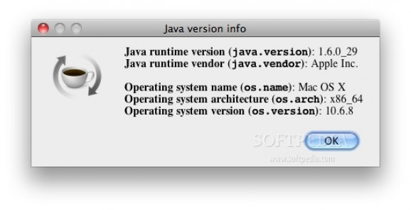 Java Version Info screenshot