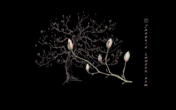 Magnolias screenshot