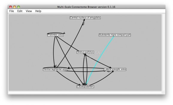 Multi-Scale Connectome Browser screenshot
