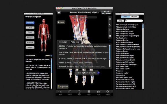 Muscle System Pro III screenshot
