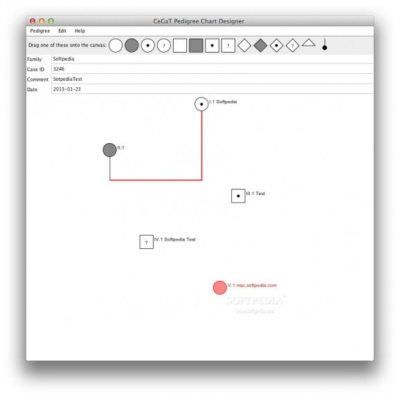 Pedigree Chart Designer screenshot