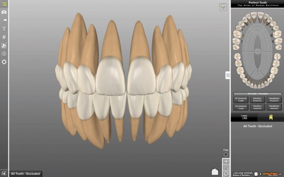 Perfect Tooth screenshot