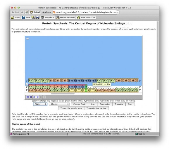 Protein Synthesis screenshot