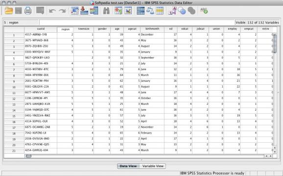 IBM SPSS Statistics (formerly SPSS) screenshot
