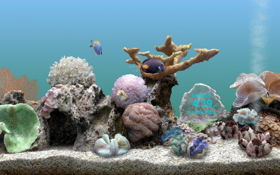 Serene Screen Marine Aquarium screenshot
