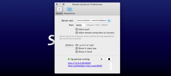 Simple Hg Server screenshot